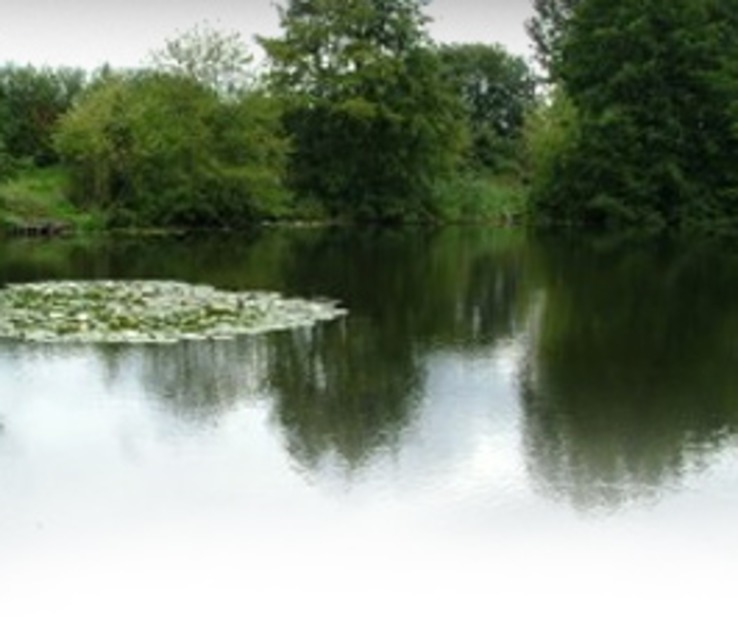 Fishing Guide for the Broads Explore Norfolk Broads