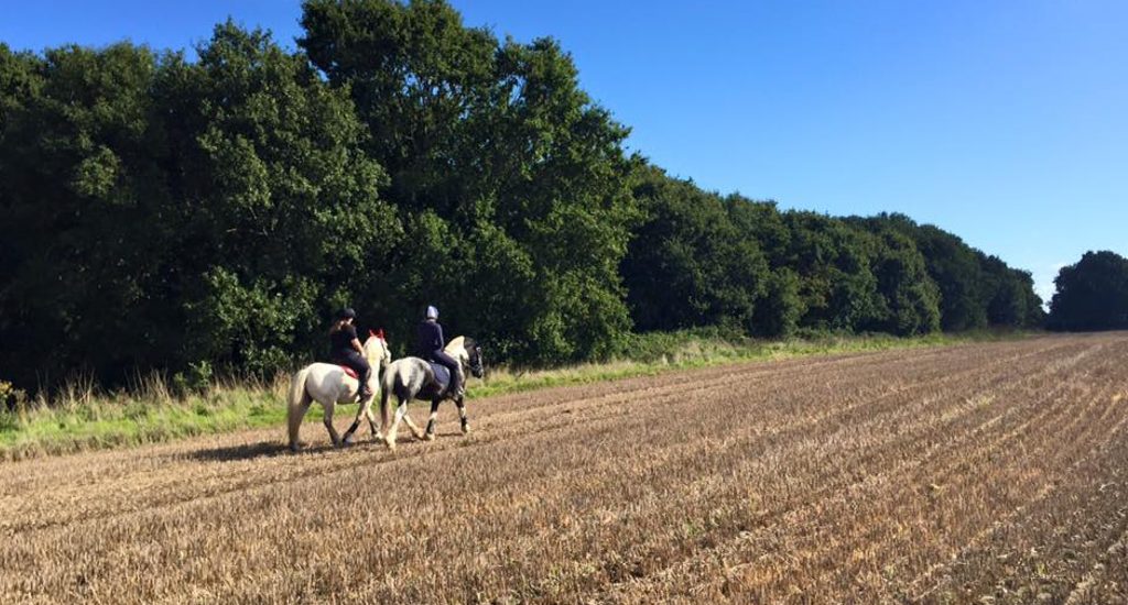 Brambells Glamping Glamping Yurting Norfolk Broads